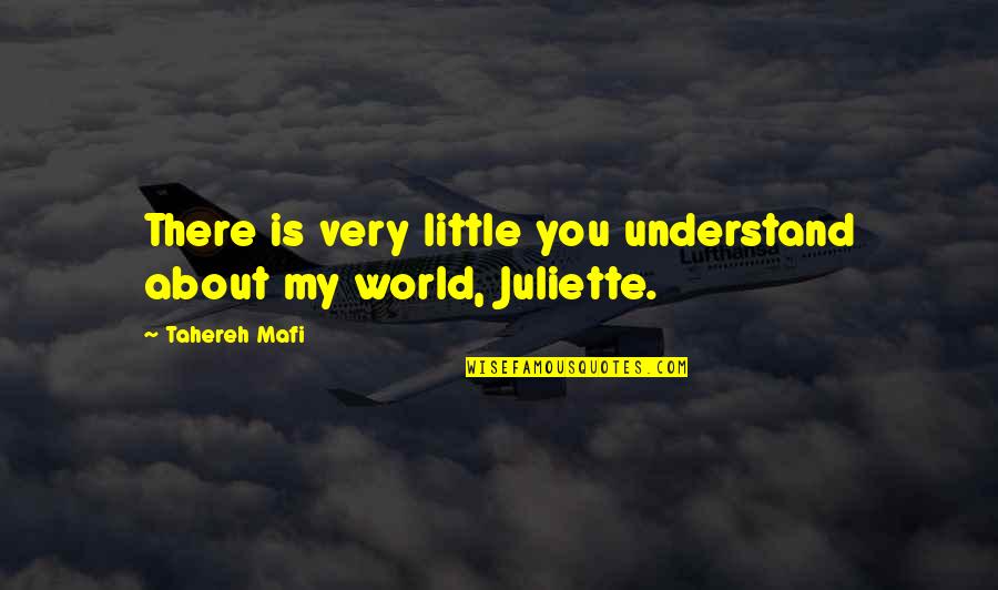 My World Is You Quotes By Tahereh Mafi: There is very little you understand about my