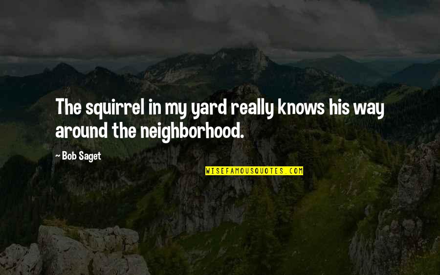 My Yard Quotes By Bob Saget: The squirrel in my yard really knows his