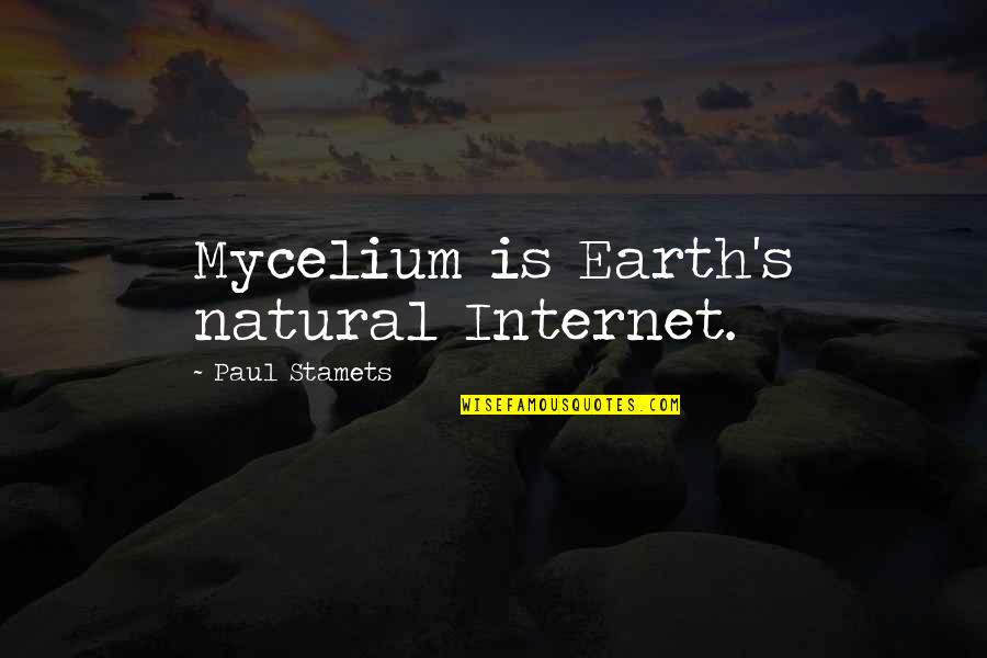 Mycelium Quotes By Paul Stamets: Mycelium is Earth's natural Internet. Mycelium Quotes By Paul Stamets: Mycelium is Earth's natural Internet.