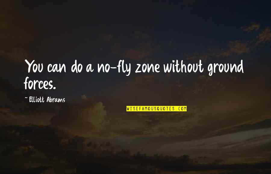 Mychelle Johnson Quotes By Elliott Abrams: You can do a no-fly zone without ground Mychelle Johnson Quotes By Elliott Abrams: You can do a no-fly zone without ground