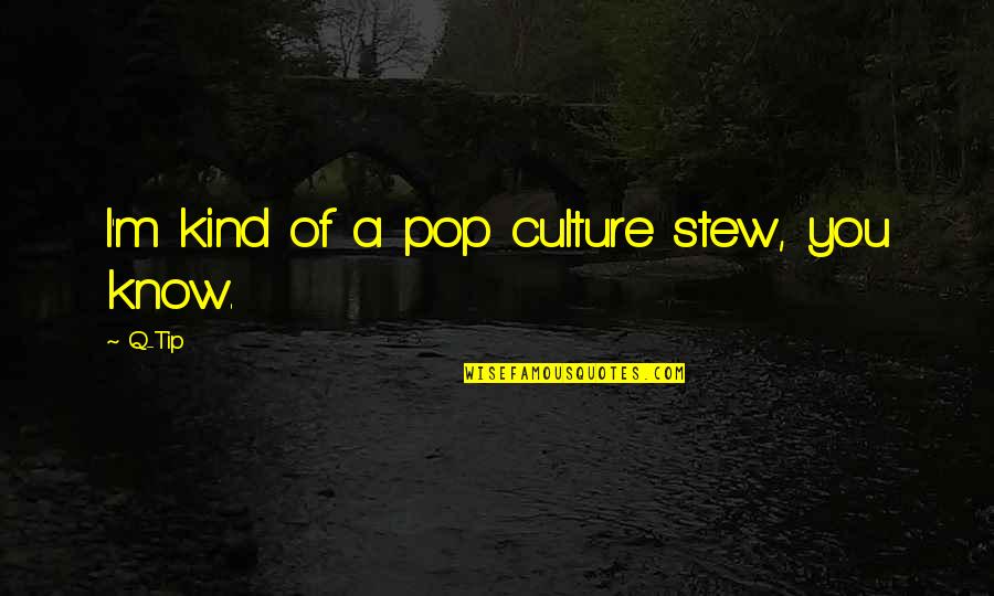 Mycket Gaser Quotes By Q-Tip: I'm kind of a pop culture stew, you