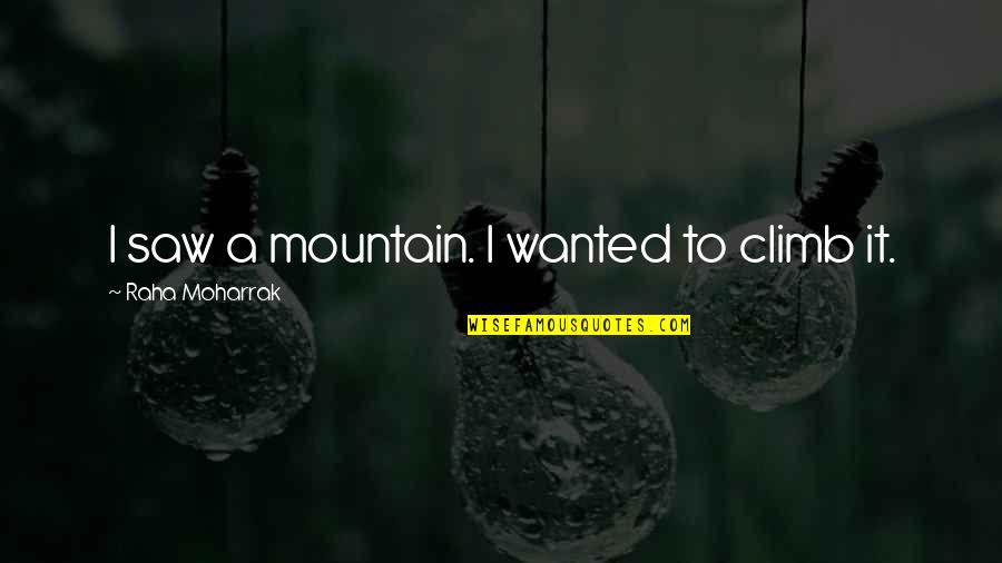 Mycologist Hiking Quotes By Raha Moharrak: I saw a mountain. I wanted to climb