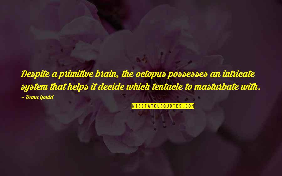 Mycroft Holmes Quotes By Dana Gould: Despite a primitive brain, the octopus possesses an Mycroft Holmes Quotes By Dana Gould: Despite a primitive brain, the octopus possesses an