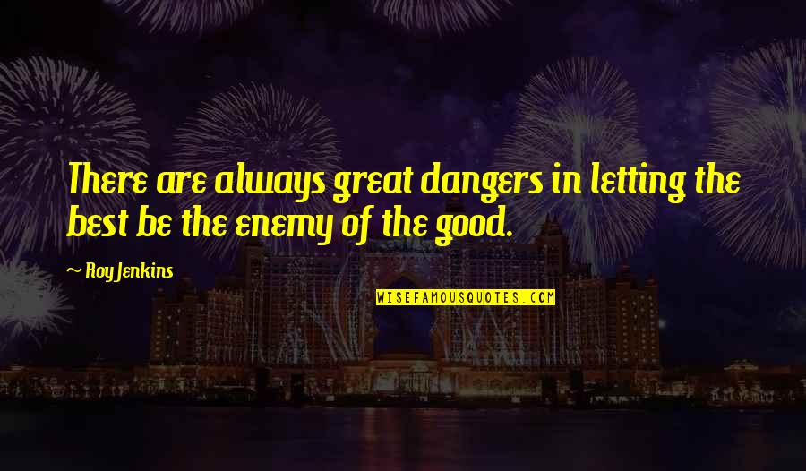 Myftari Kallezim Quotes By Roy Jenkins: There are always great dangers in letting the
