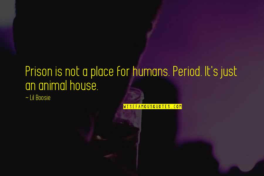 Myhres Quotes By Lil Boosie: Prison is not a place for humans. Period.