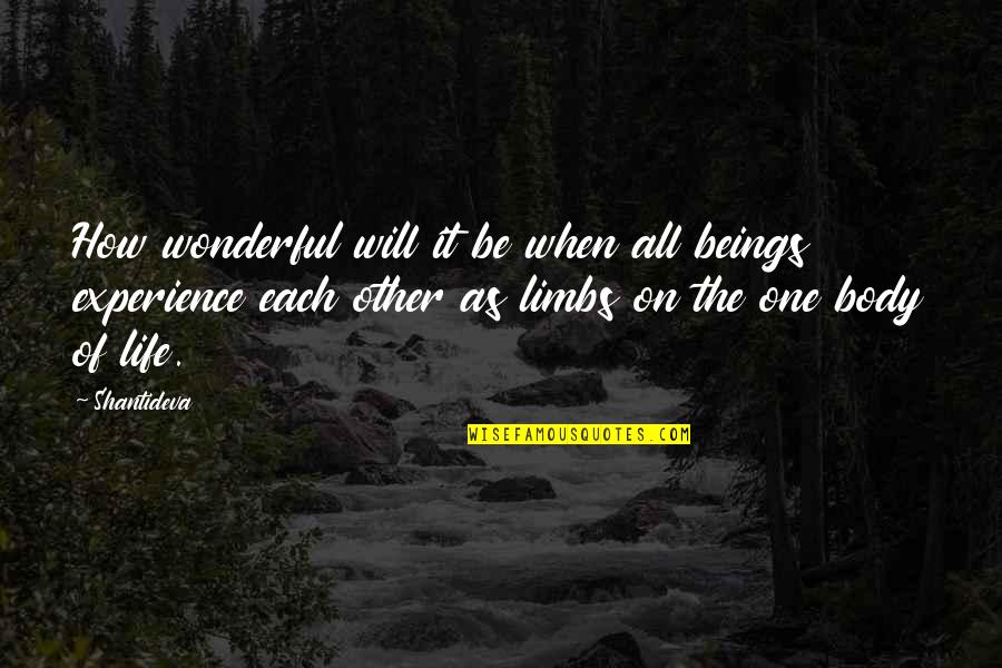 Mykenos Quotes By Shantideva: How wonderful will it be when all beings