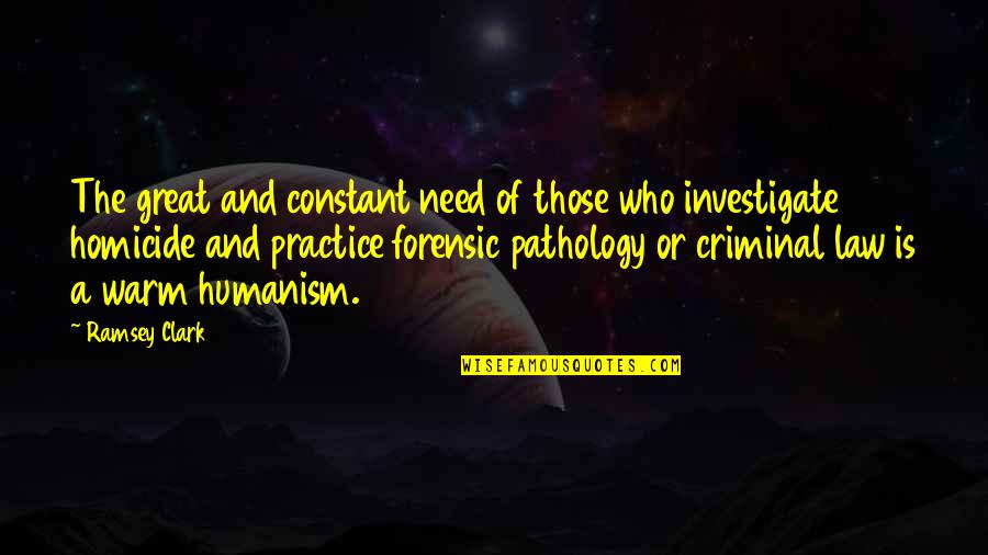 Mykill Aresco Quotes By Ramsey Clark: The great and constant need of those who Mykill Aresco Quotes By Ramsey Clark: The great and constant need of those who
