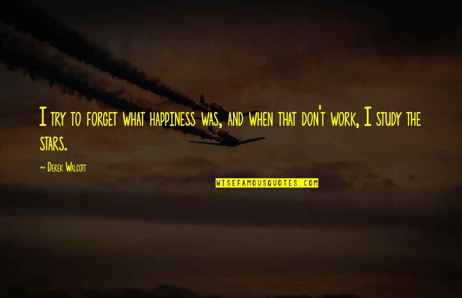 Mykkp Quotes By Derek Walcott: I try to forget what happiness was, and