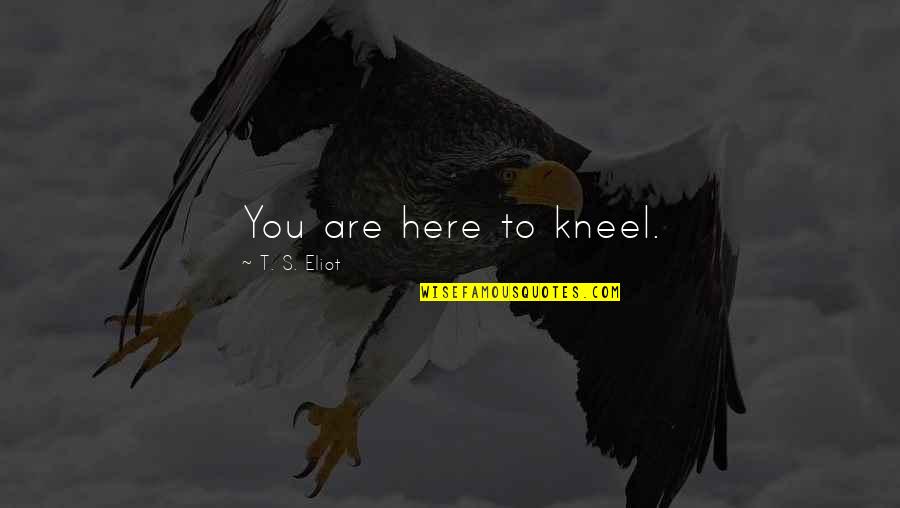 Myklassumy Quotes By T. S. Eliot: You are here to kneel. Myklassumy Quotes By T. S. Eliot: You are here to kneel.