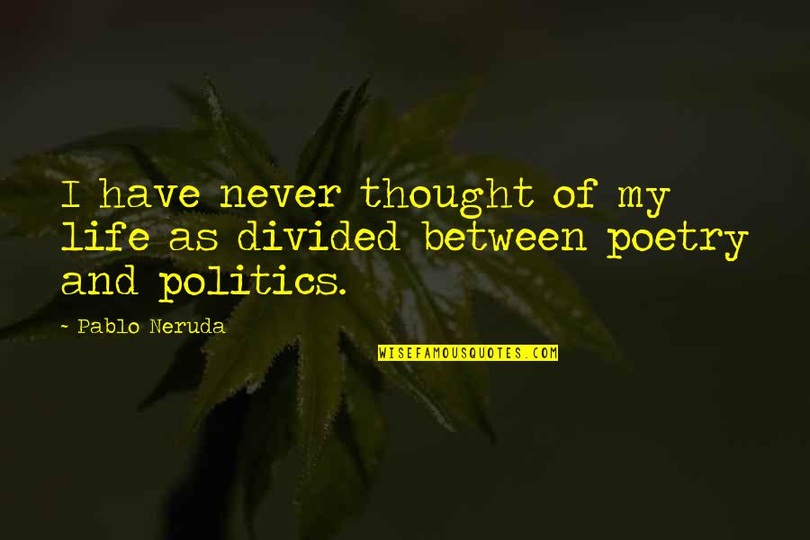 Mylar Bags Quotes By Pablo Neruda: I have never thought of my life as