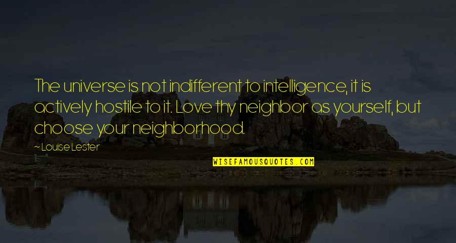 Mylen Stairs Quotes By Louise Lester: The universe is not indifferent to intelligence, it