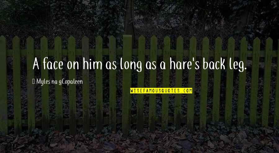 Myles Na Gcopaleen Quotes By Myles Na GCopaleen: A face on him as long as a