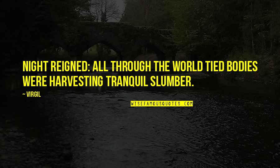 Mylne Camacho Quotes By Virgil: Night reigned: all through the world tied bodies