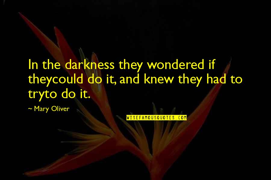 Myositis Ossificans Quotes By Mary Oliver: In the darkness they wondered if theycould do