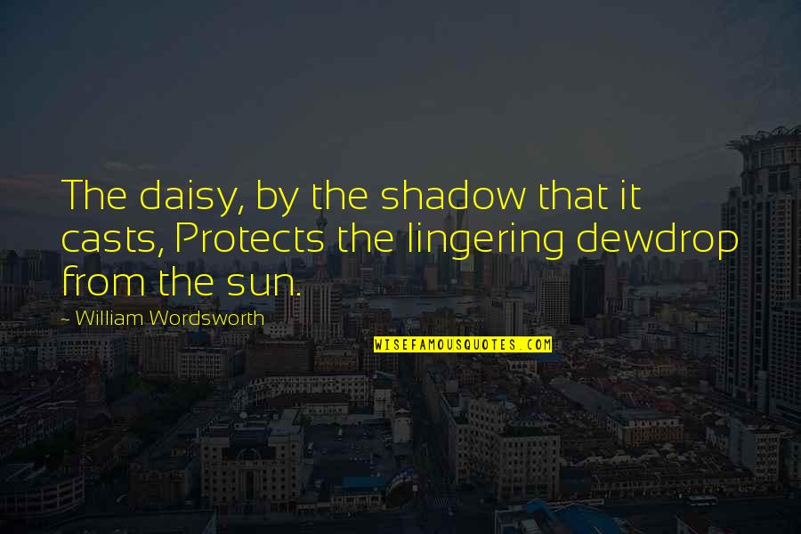 Myrddin Cave Quotes By William Wordsworth: The daisy, by the shadow that it casts,