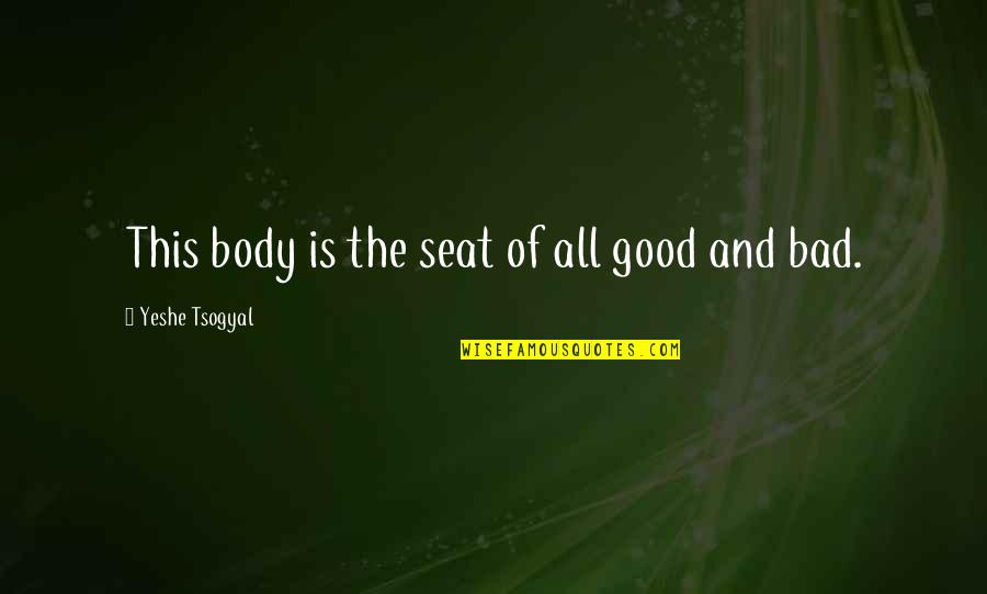 Myriame Dof Quotes By Yeshe Tsogyal: This body is the seat of all good