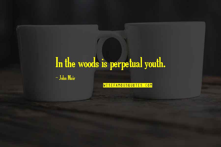 Myrlie Evers Quotes By John Muir: In the woods is perpetual youth.