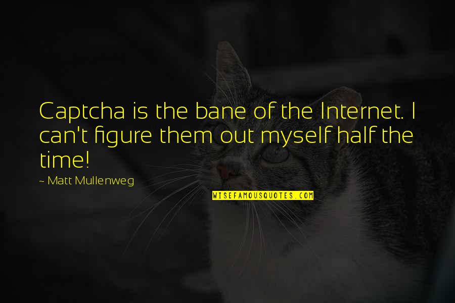 Myself Time Quotes By Matt Mullenweg: Captcha is the bane of the Internet. I