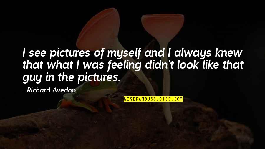 Myself With Pictures Quotes By Richard Avedon: I see pictures of myself and I always Myself With Pictures Quotes By Richard Avedon: I see pictures of myself and I always