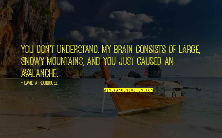 Mysliwiec Floral Twist Quotes By David A. Rodriguez: You don't understand. My brain consists of large,