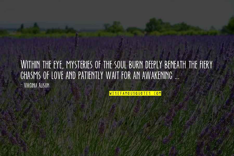 Mysteries Love Quotes By Virginia Alison: Within the eye, mysteries of the soul burn