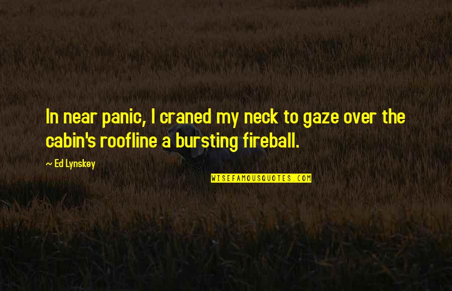 Mystery And Adventure Quotes By Ed Lynskey: In near panic, I craned my neck to