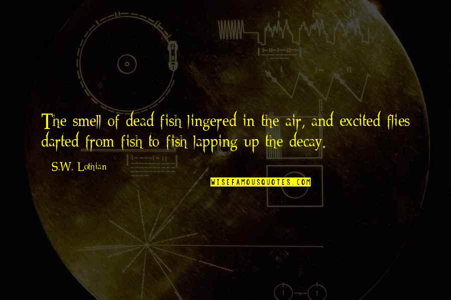 Mystery And Adventure Quotes By S.W. Lothian: The smell of dead fish lingered in the