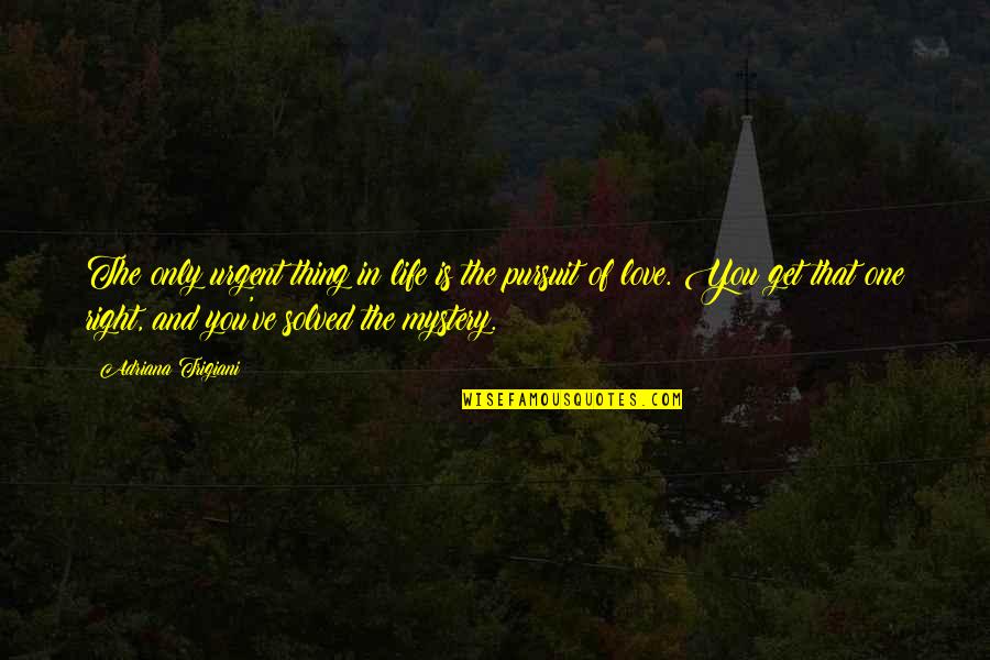 Mystery And Life Quotes By Adriana Trigiani: The only urgent thing in life is the