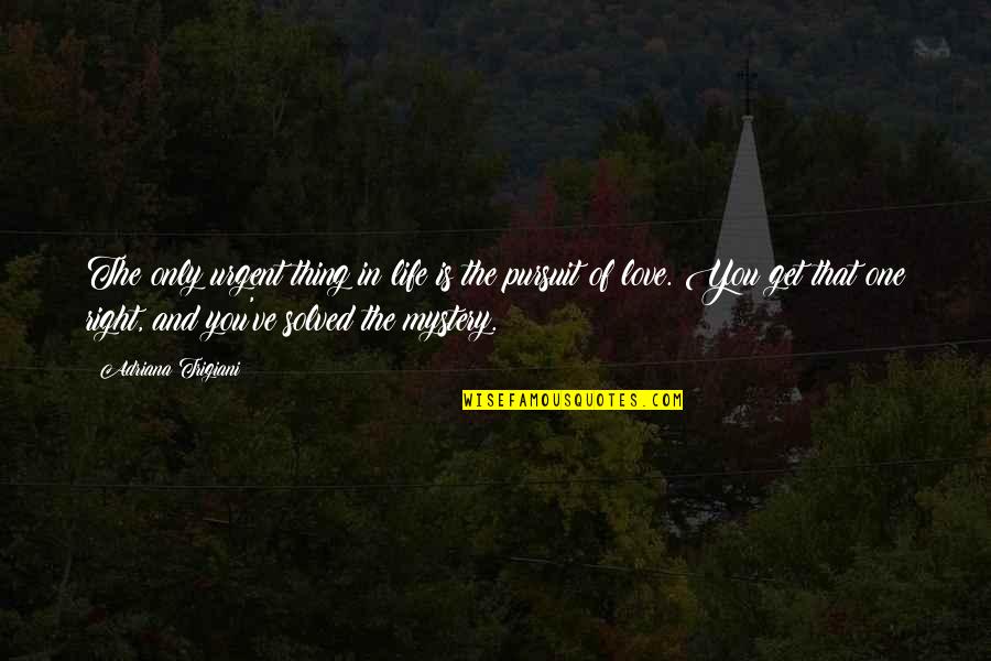 Mystery And Love Quotes By Adriana Trigiani: The only urgent thing in life is the