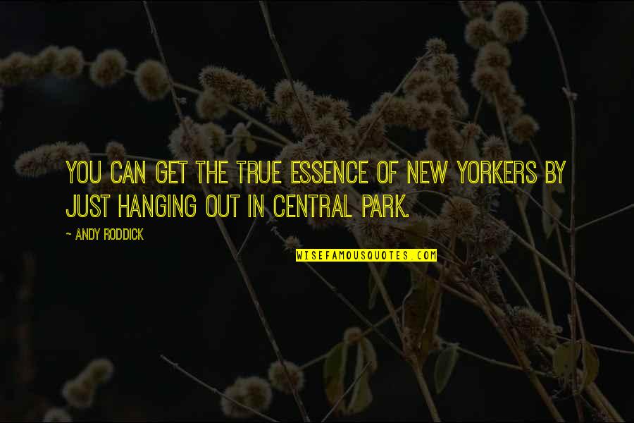 Mystery By Indigo Quotes By Andy Roddick: You can get the true essence of New