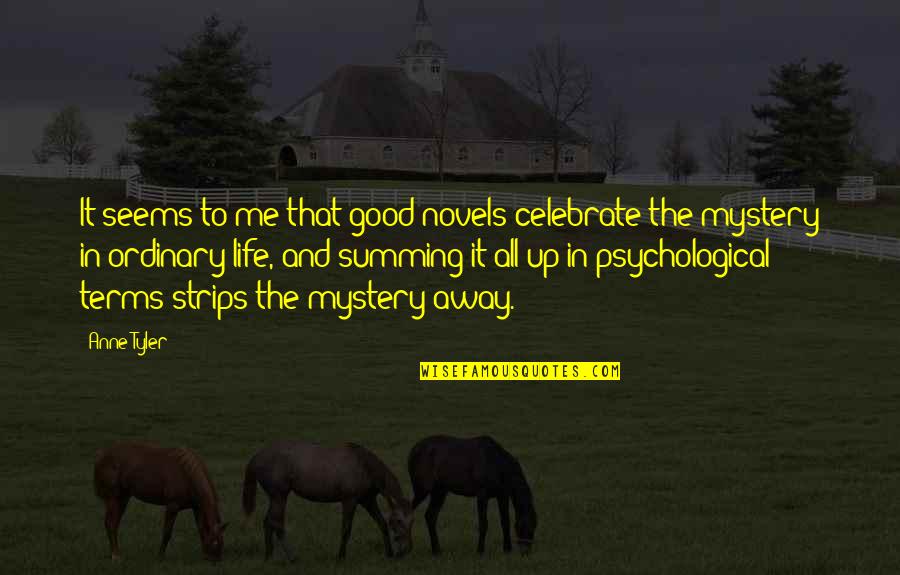 Mystery Novels Quotes By Anne Tyler: It seems to me that good novels celebrate