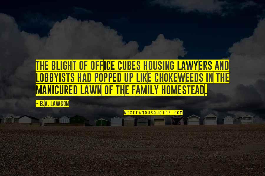 Mystery Novels Quotes By B.V. Lawson: The blight of office cubes housing lawyers and