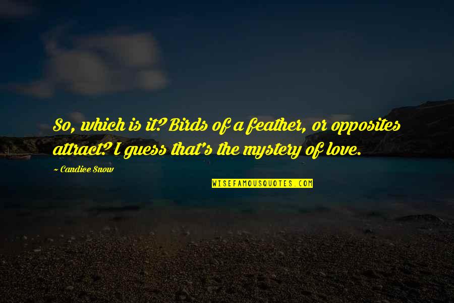 Mystery Of Love Quotes By Candice Snow: So, which is it? Birds of a feather,