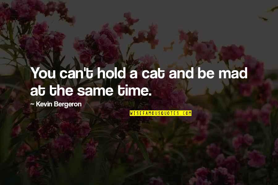 Mystery Suspense Humor Quotes By Kevin Bergeron: You can't hold a cat and be mad Mystery Suspense Humor Quotes By Kevin Bergeron: You can't hold a cat and be mad