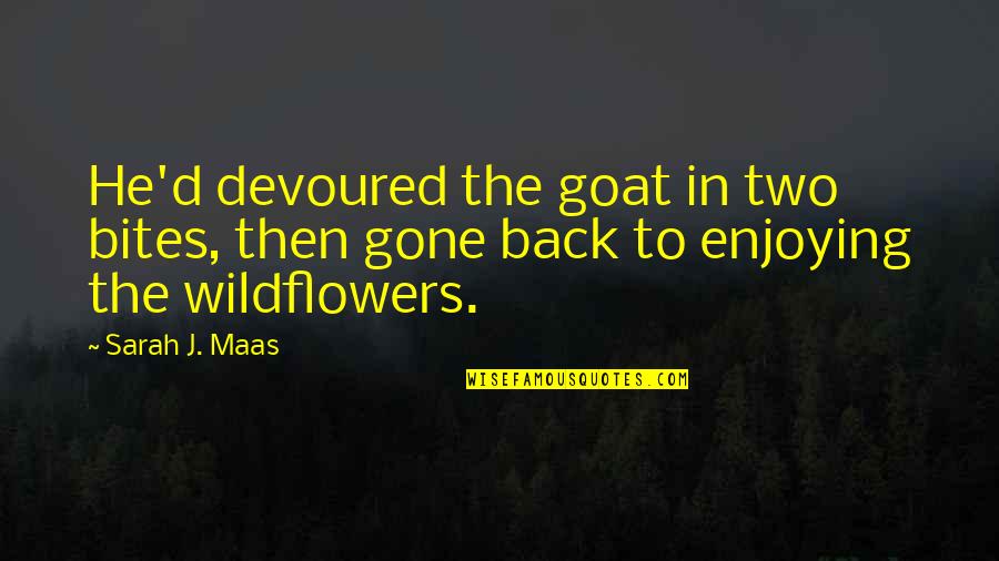Mystrey Quotes By Sarah J. Maas: He'd devoured the goat in two bites, then
