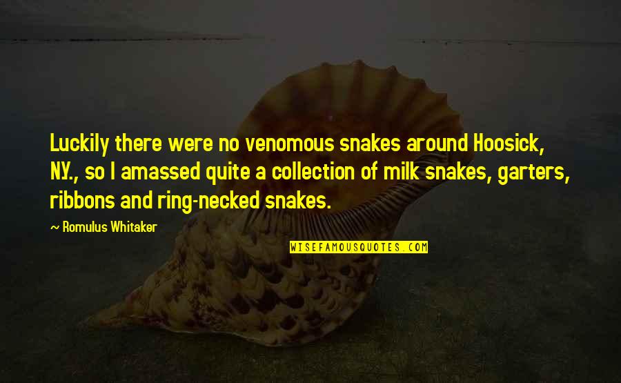 N A Quotes By Romulus Whitaker: Luckily there were no venomous snakes around Hoosick,