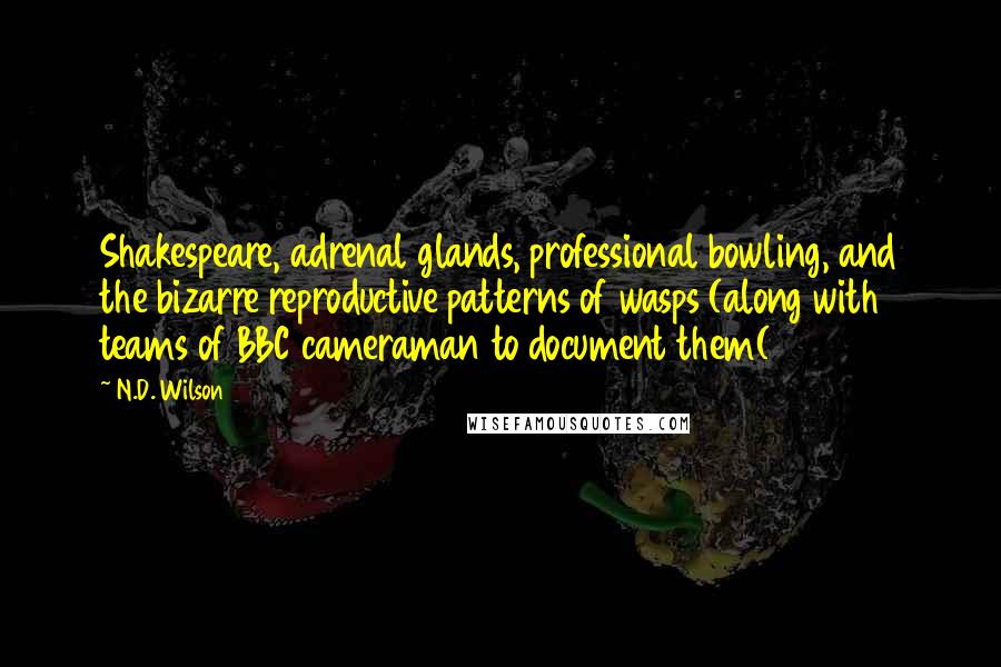 N.D. Wilson quotes: Shakespeare, adrenal glands, professional bowling, and the bizarre reproductive patterns of wasps (along with teams of BBC cameraman to document them( N.D. Wilson quotes: Shakespeare, adrenal glands, professional bowling, and the bizarre reproductive patterns of wasps (along with teams of BBC cameraman to document them(