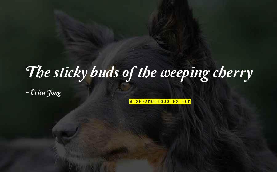 N Horn Karabach Mapa Quotes By Erica Jong: The sticky buds of the weeping cherry N Horn Karabach Mapa Quotes By Erica Jong: The sticky buds of the weeping cherry