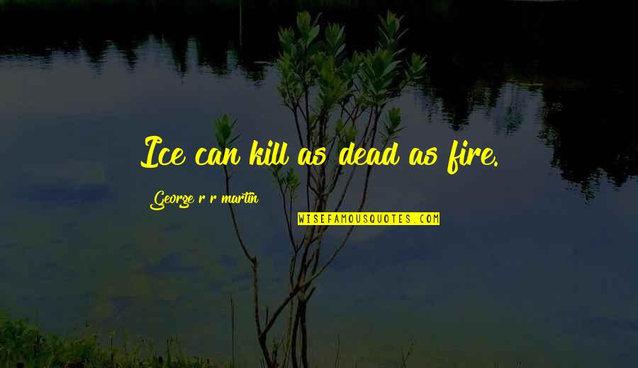 N K Cpa Honolulu Quotes By George R R Martin: Ice can kill as dead as fire.