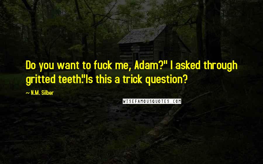 N.M. Silber quotes: Do you want to fuck me, Adam?" I asked through gritted teeth."Is this a trick question?