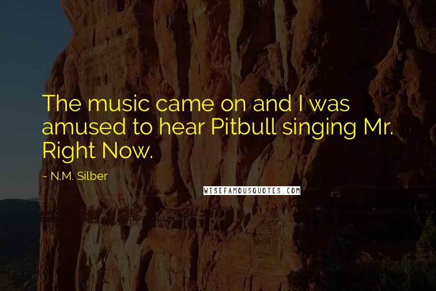 N.M. Silber quotes: The music came on and I was amused to hear Pitbull singing Mr. Right Now.