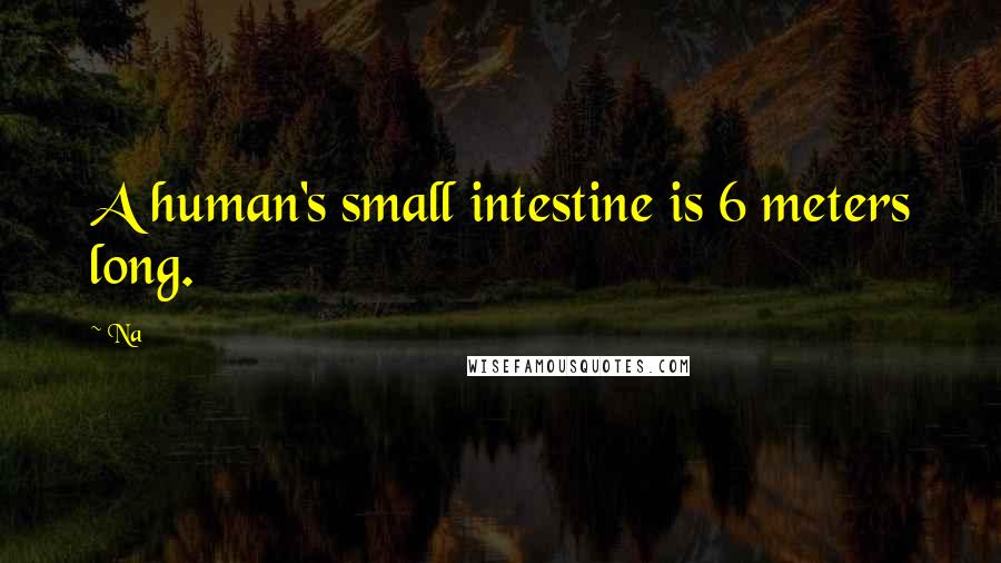 Na quotes: A human's small intestine is 6 meters long.