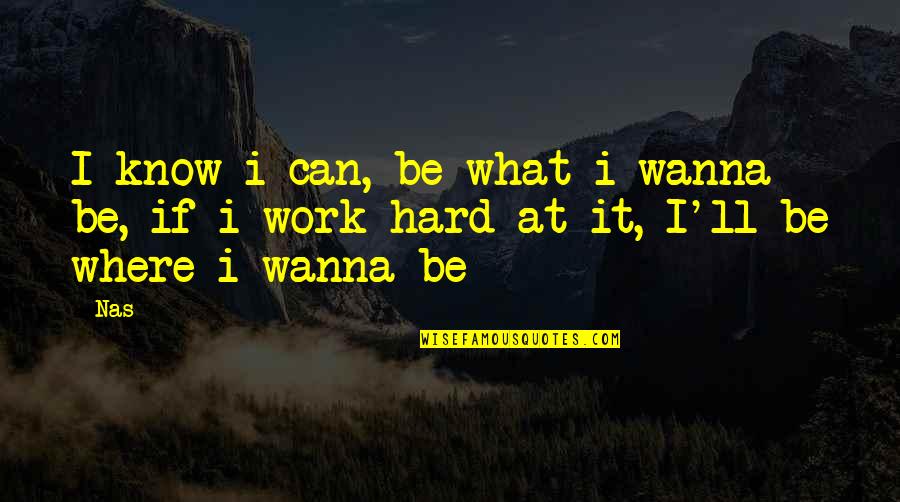 Na Test Synonymum Quotes By Nas: I know i can, be what i wanna
