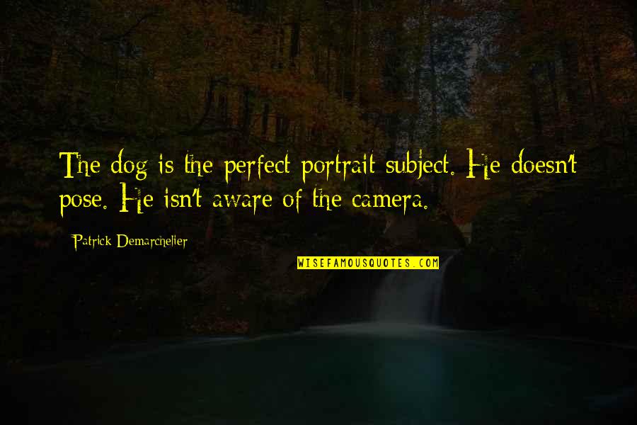 Nabanita Das Quotes By Patrick Demarchelier: The dog is the perfect portrait subject. He Nabanita Das Quotes By Patrick Demarchelier: The dog is the perfect portrait subject. He