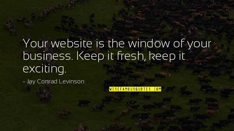 Nabt's Quotes By Jay Conrad Levinson: Your website is the window of your business.