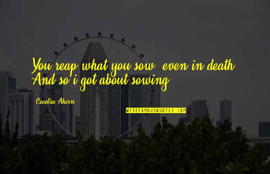 Nachmittag In English Quotes By Cecelia Ahern: You reap what you sow, even in death.
