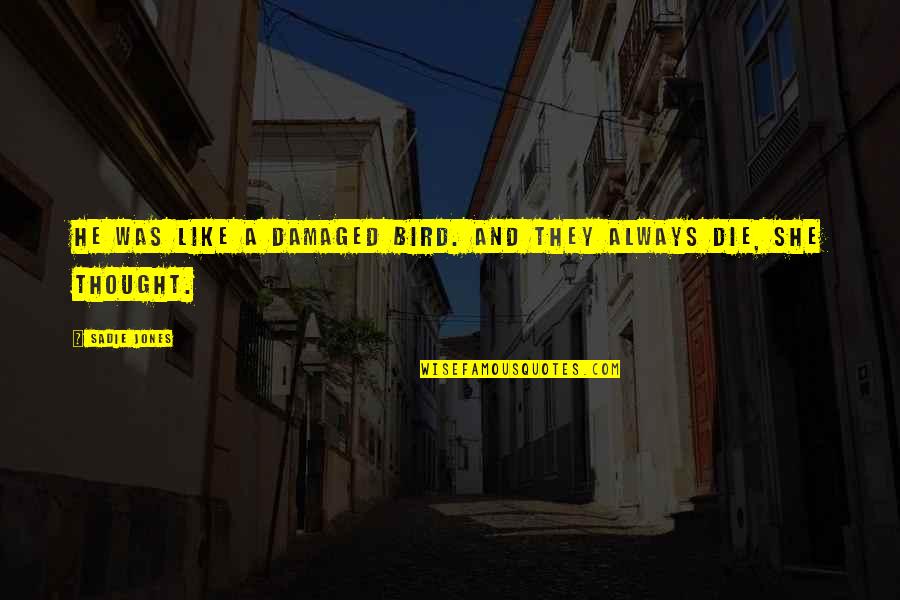 Nachteile Des Quotes By Sadie Jones: He was like a damaged bird. And they
