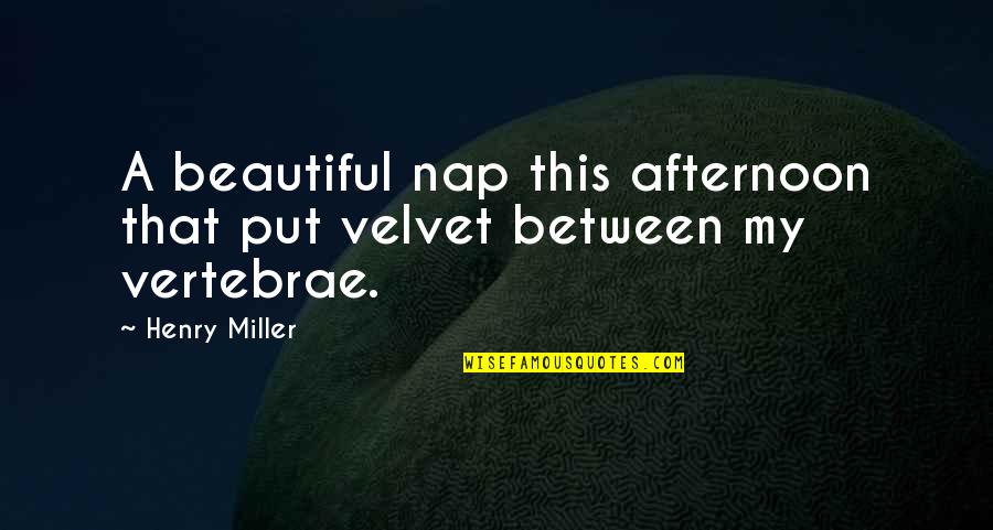 Naddie Light Quotes By Henry Miller: A beautiful nap this afternoon that put velvet