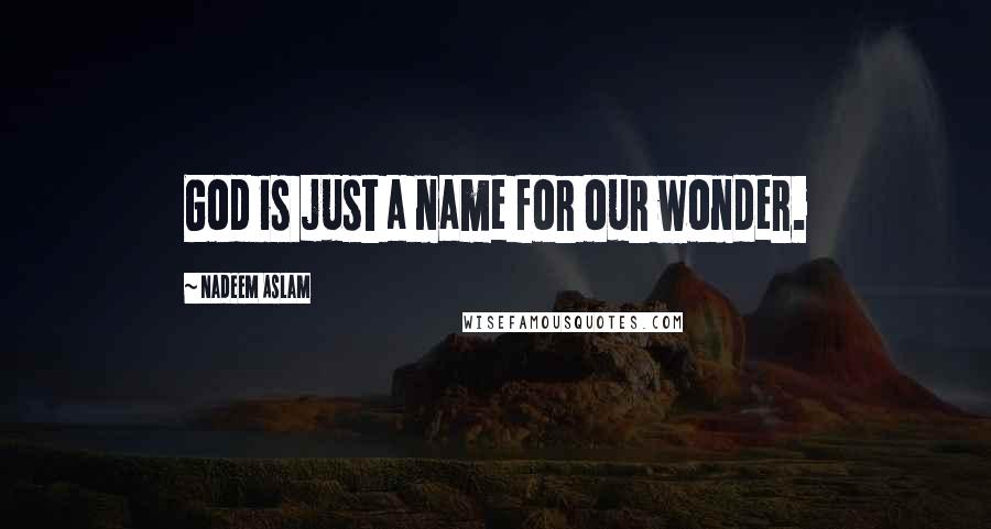 Nadeem Aslam quotes: God is just a name for our wonder.