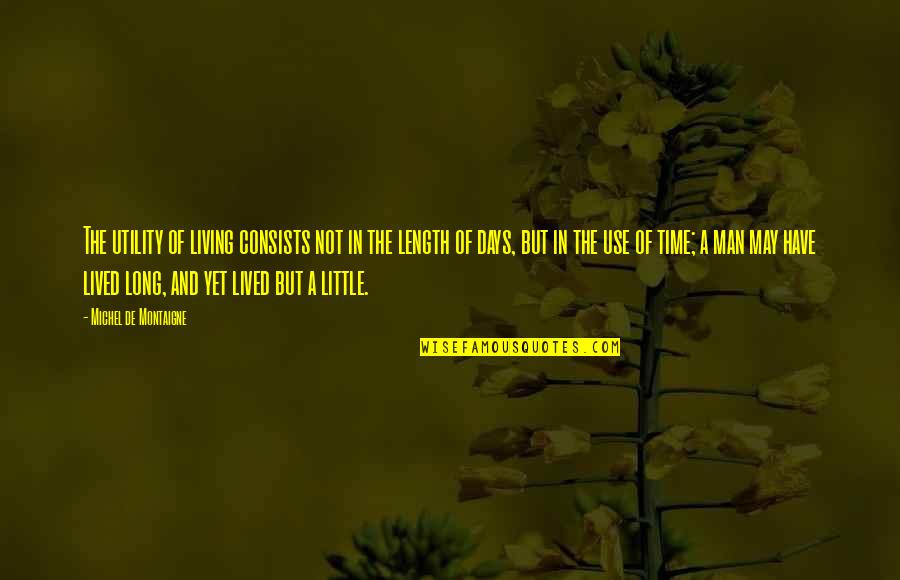 Nadiing Quotes By Michel De Montaigne: The utility of living consists not in the